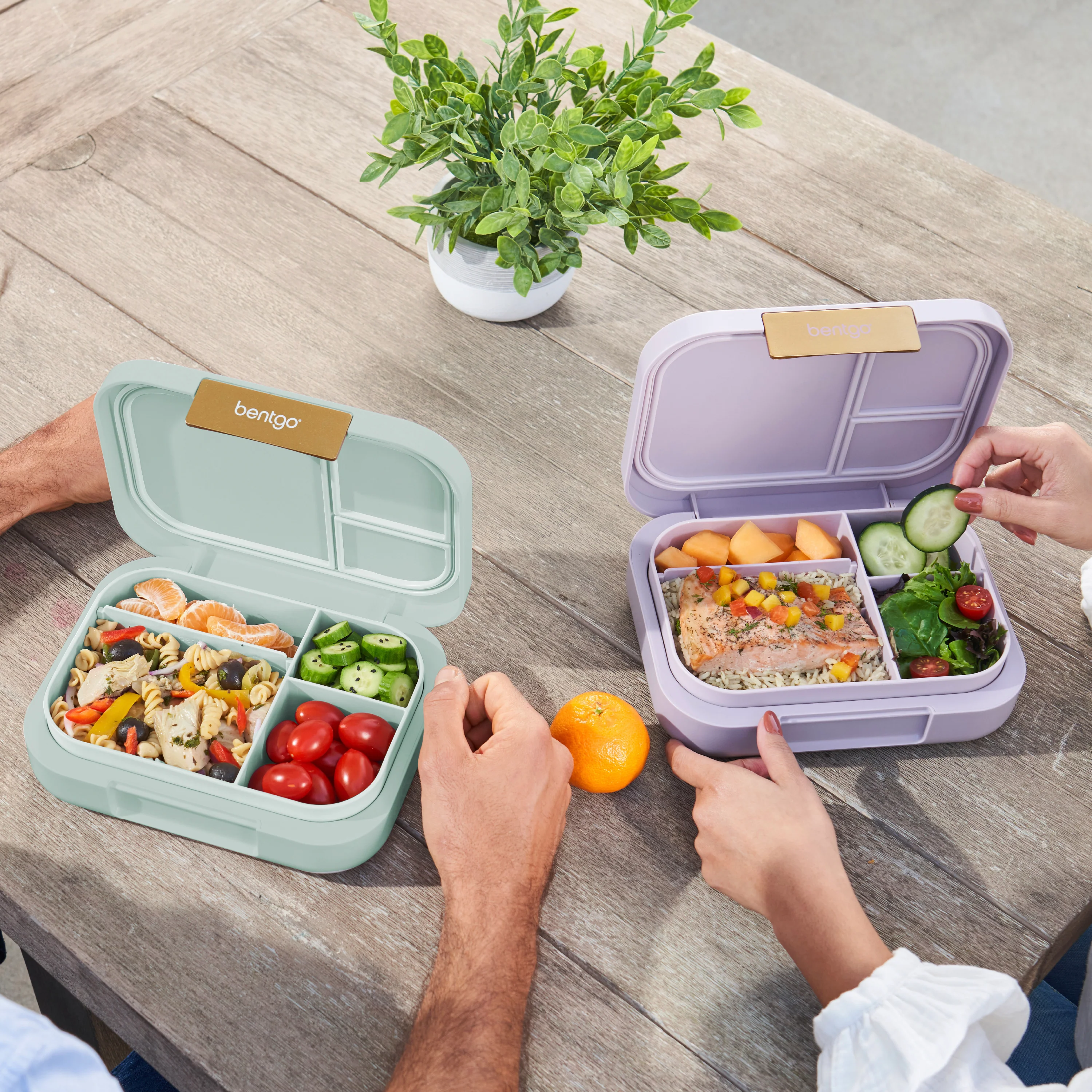 Bentgo Modern Lunch Box 2-Pack — SKU SKU00118-000-246F01 - Image 2